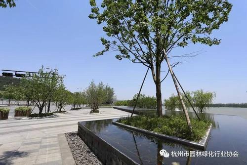 优秀工程2017年度杭州市优秀园林绿化工程道路组金奖三江两岸整治江滨